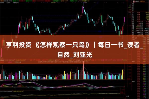 亨利投资 《怎样观察一只鸟》|每日一书_读者_自然_刘亚光